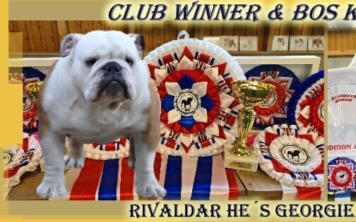Rivaldar hes georgie PorgiecLUB wINNER